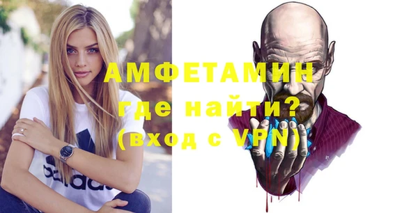 мет Алексин