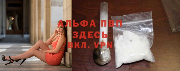 мет Алексин