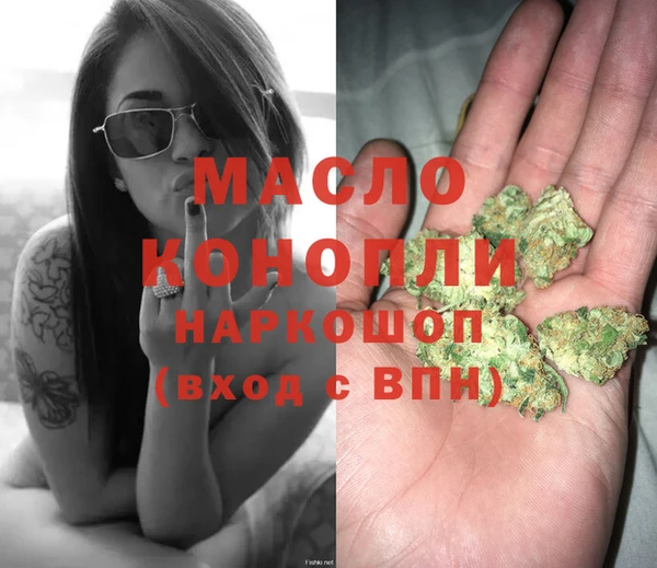 дживик Абинск