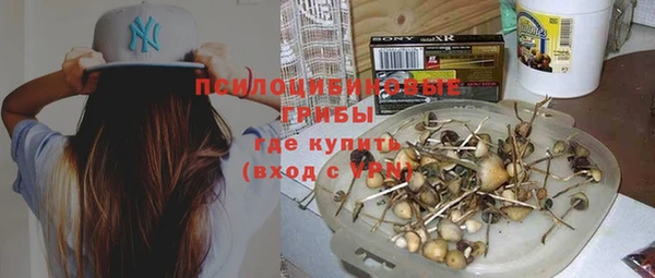 дживик Абинск