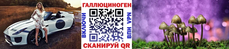 где купить наркоту  Сусуман  Псилоцибиновые грибы мухоморы 