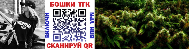 это клад Сусуман Бошки Шишки индика